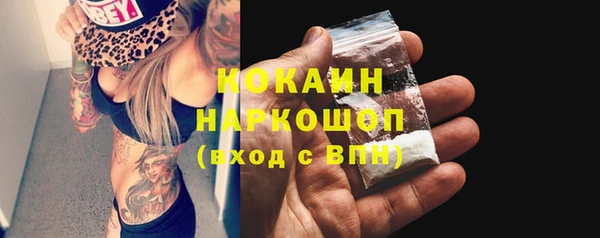 тгк Богданович