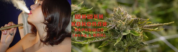 spice Богородицк