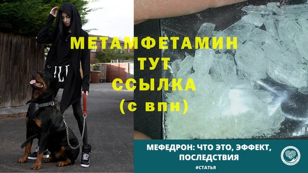 spice Богородицк