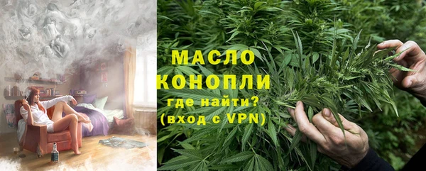 spice Богородицк