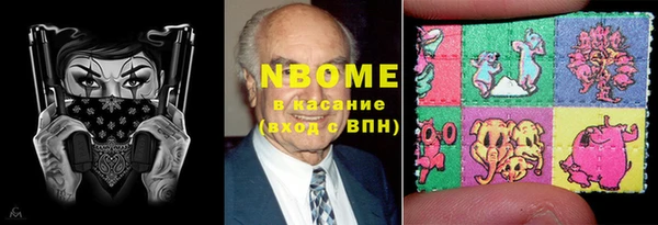spice Богородицк